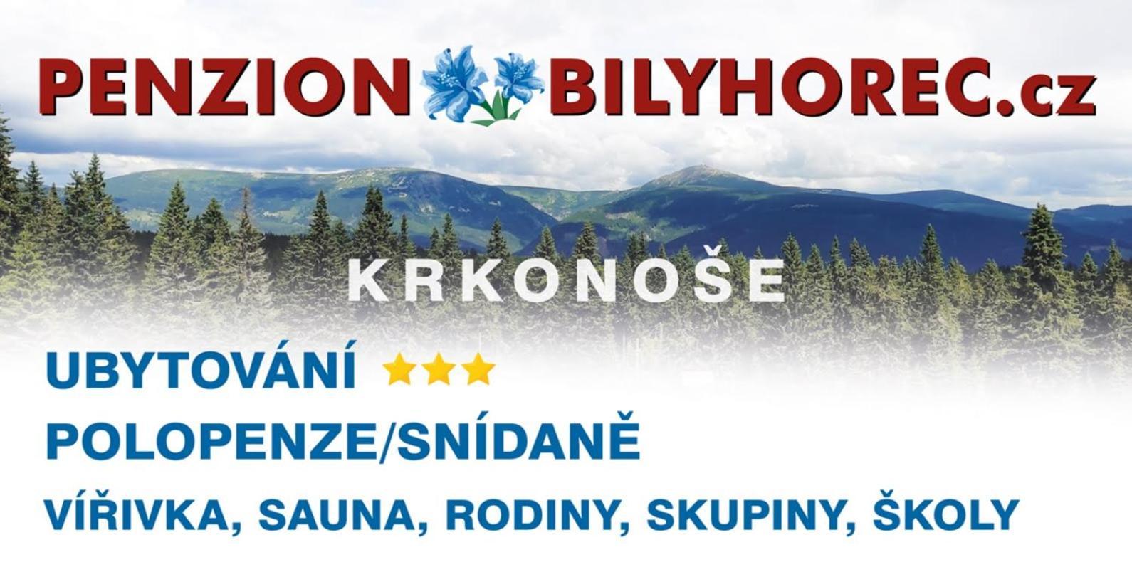Pension Bily Horec Vrchlabí Exterior foto